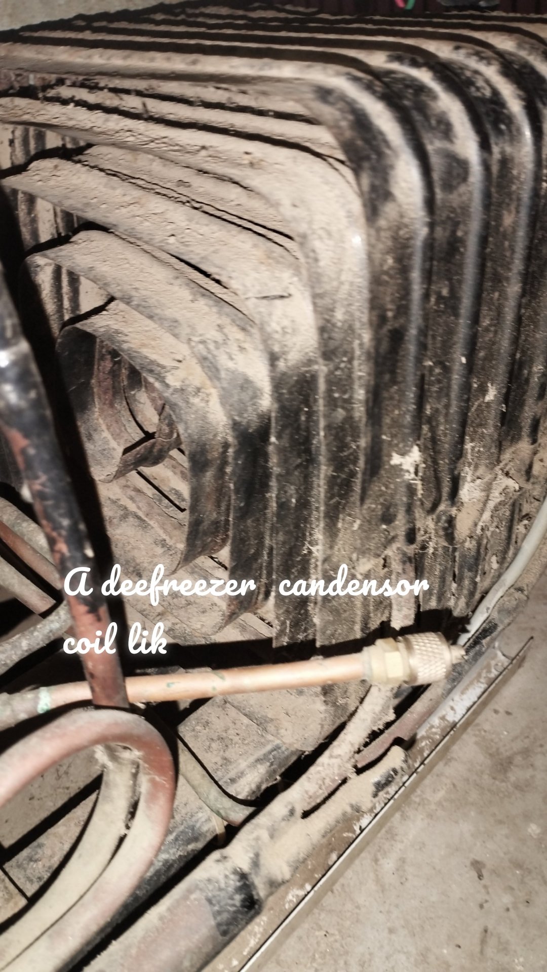 A deefreezer  candensor coil lik 